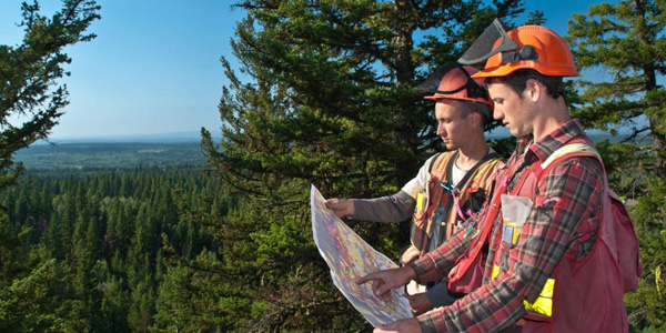 Indian Institute of Forest Management 