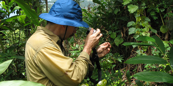 Indian Institute of Forest Management 