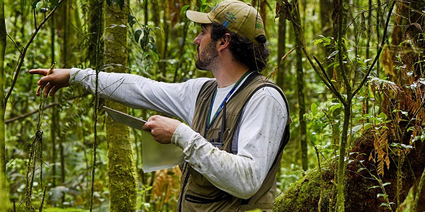 Indian Institute of Forest Management 